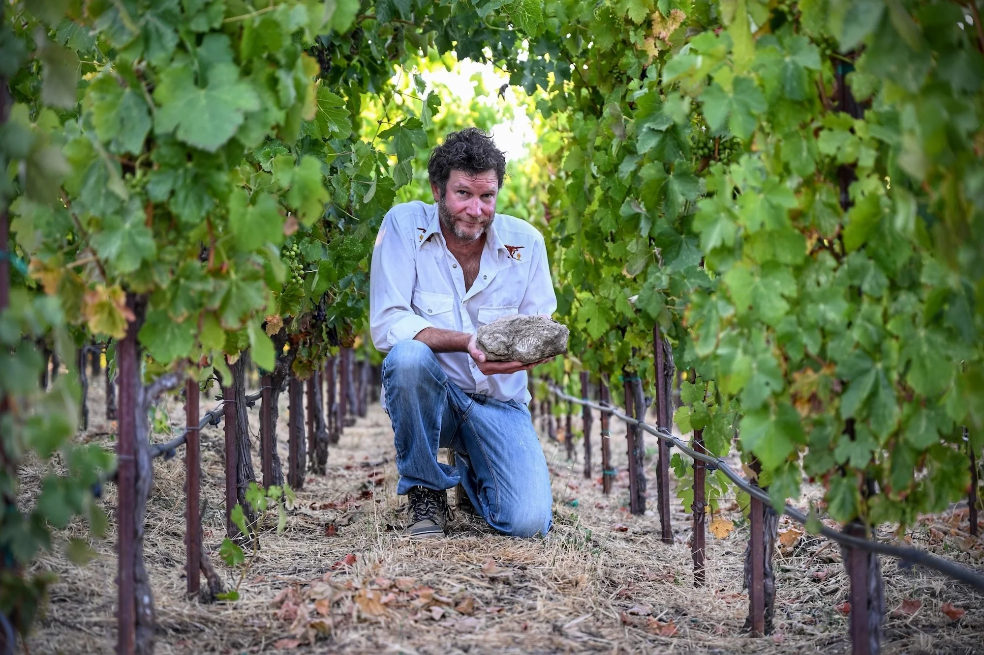 Mark Adams at Ledge Vineyard